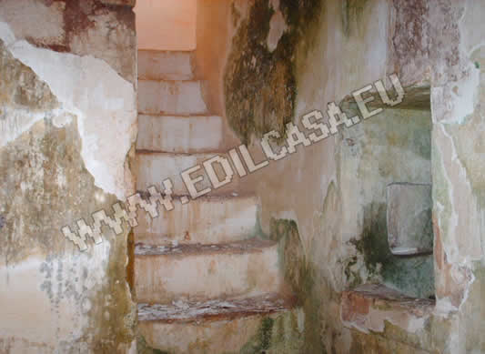 restauro3-1